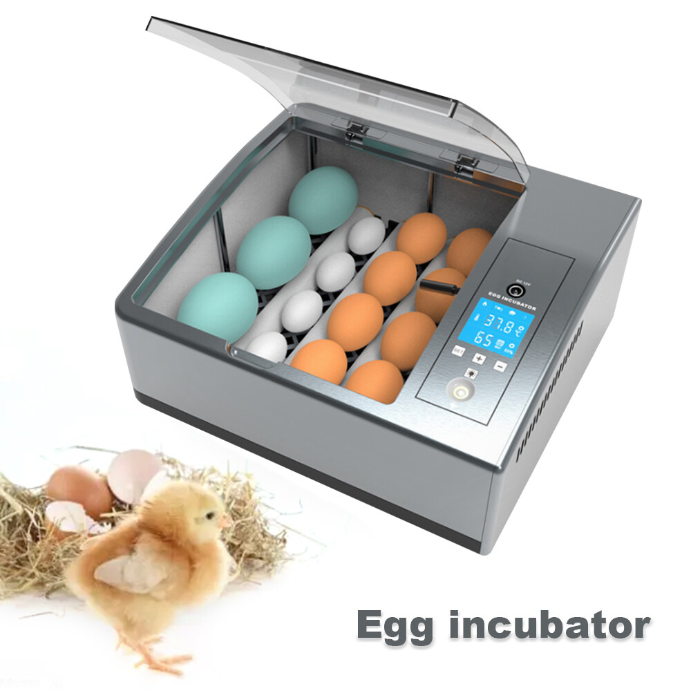 Automatic 16 Egg Incubator with Temperature Control and Turner - US