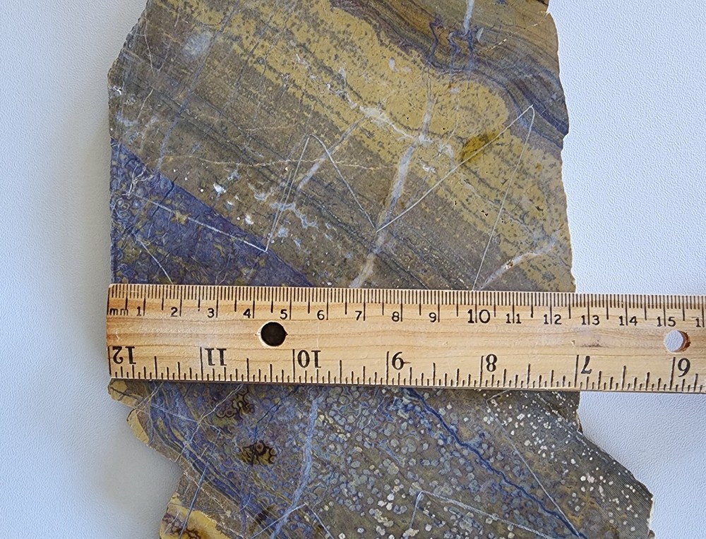 Orbicular Jasper Large Lapidary Slab