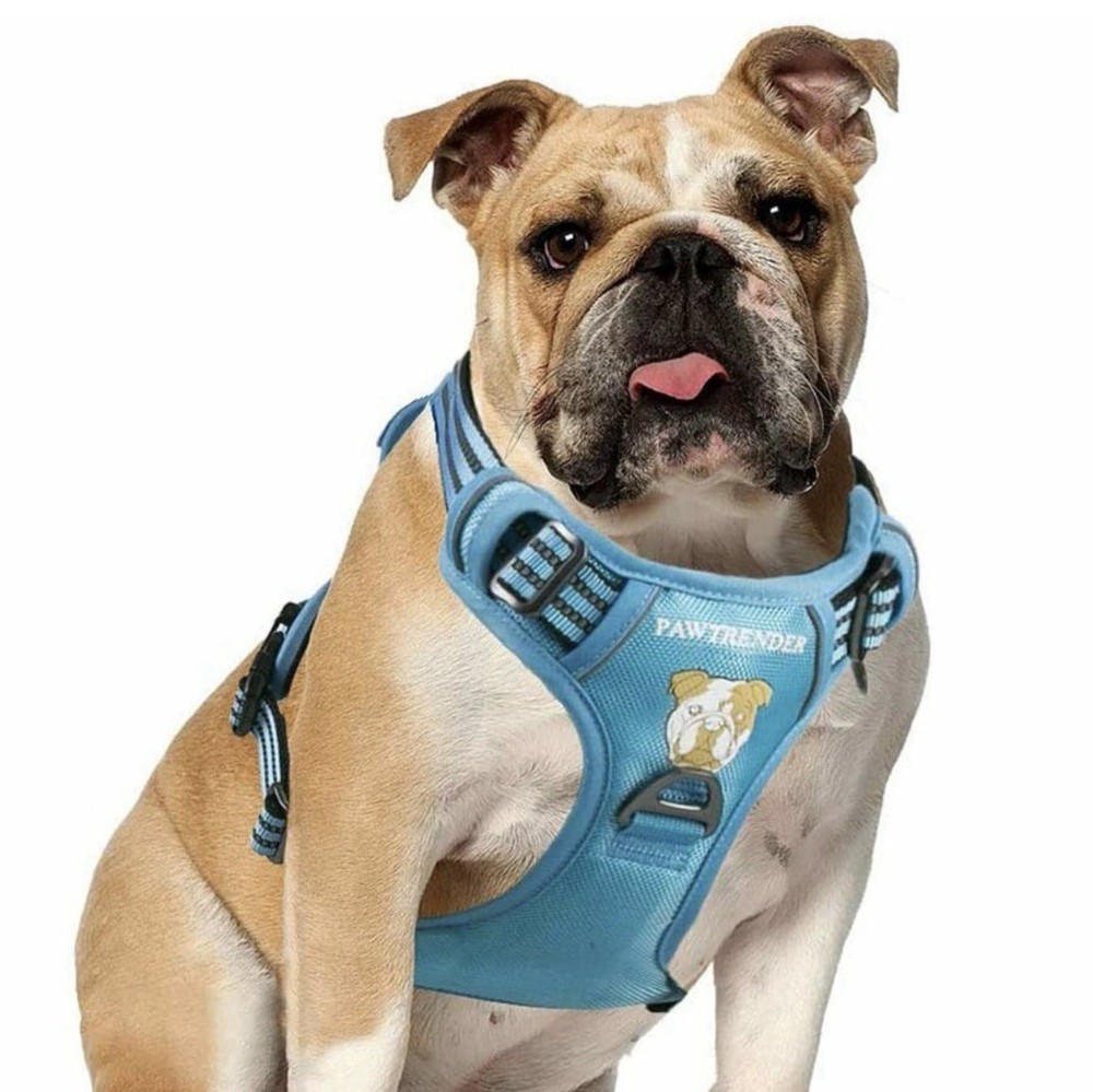 Pawtrender No Pull Dog Harness (Pink) (X Large)