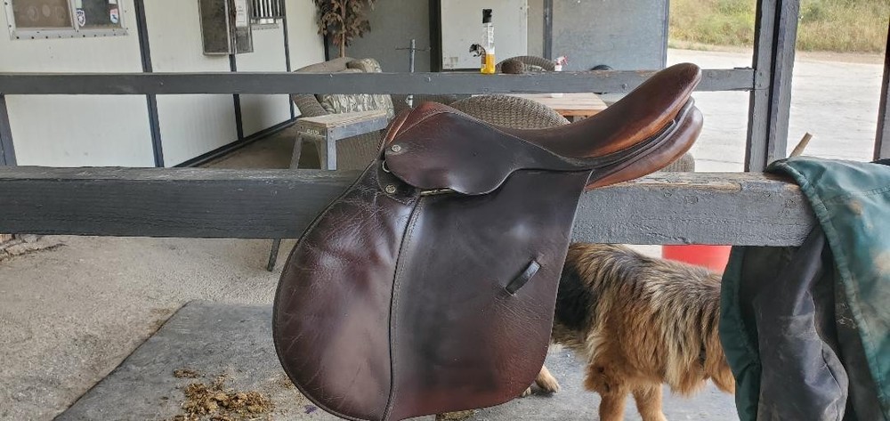 Courbette Pandur Jumping saddle