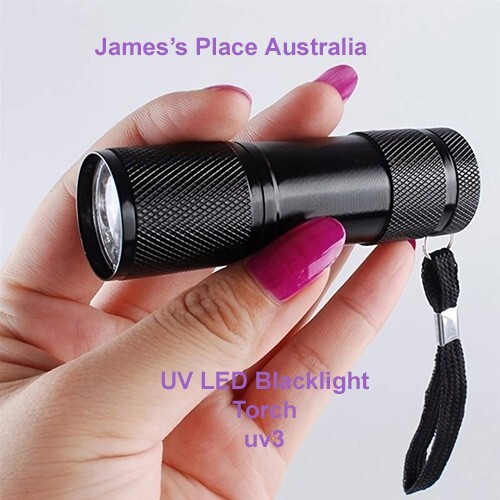 UV Blacklight Torch