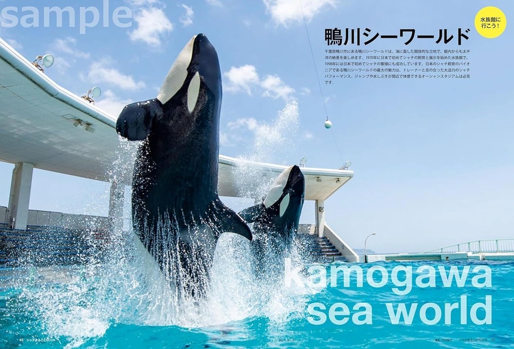 The Complete Orca Book Japanese Book