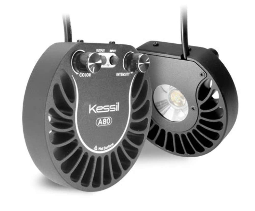 A80 Tuna Sun LED Light