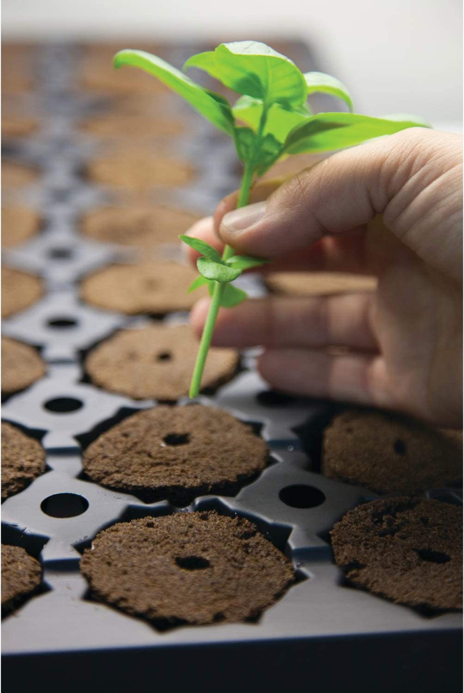 Rapid Rooter Plant Starters, 50 Plugs