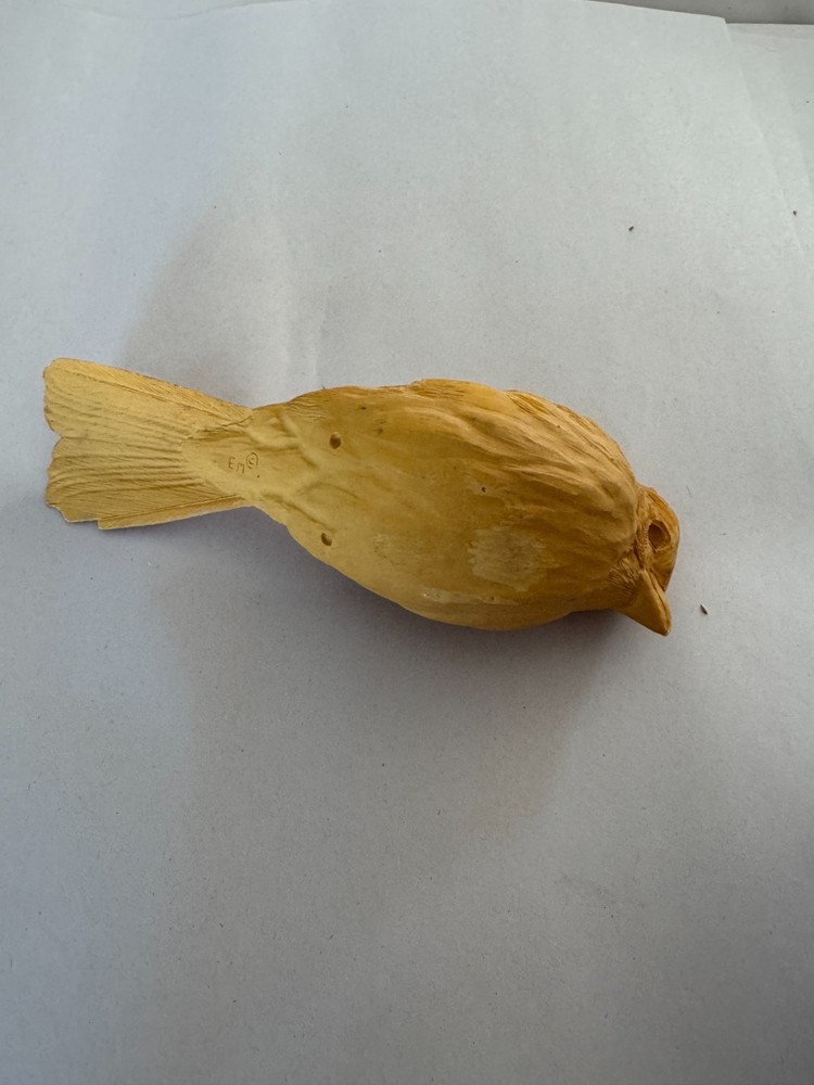 Blue Jay Resin Study Bird