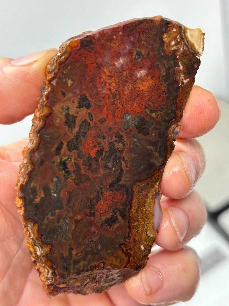 Thin Moss Agate Slab Cabbing Lapidary Carving Combo Ship Avail