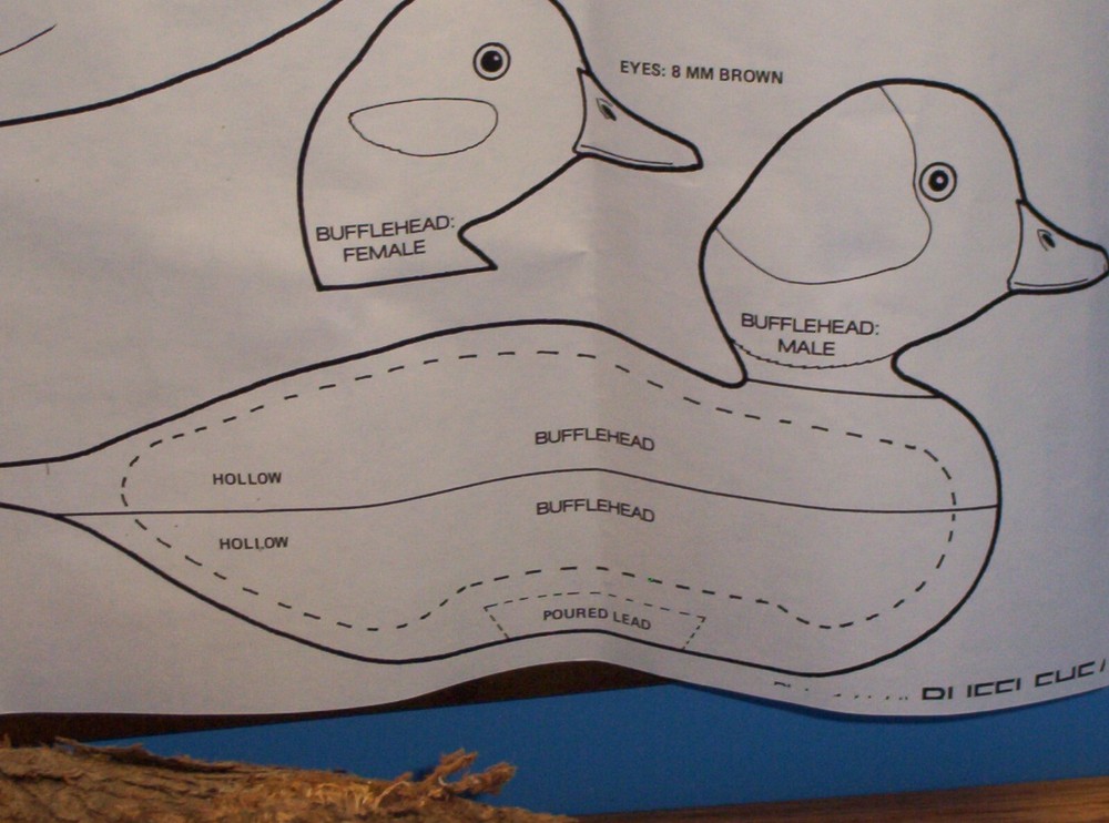 Bufflehead Cedar Wood Carving Blocks