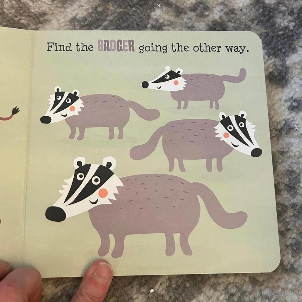 Scholastic Board Books Words and Differences