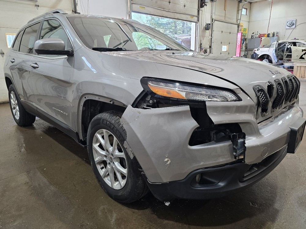 CHEROKEE 2015 Dash Bezel 630045