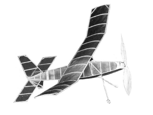 Cagebird Peanut Rubber 13" Wingspan RC Model Airplane Printed Plans & Templates