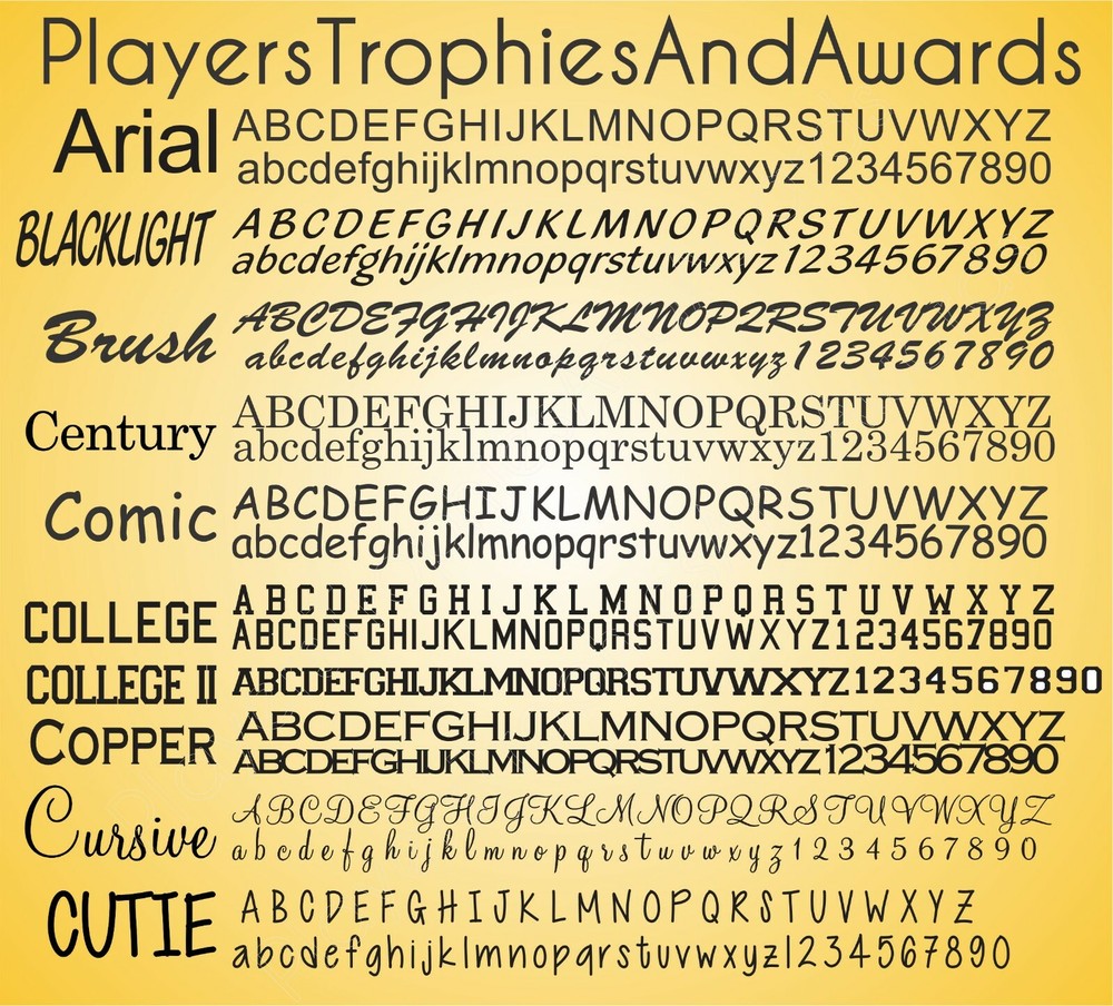 .75x3 PLASTIC Engraved name plate CUSTOM Trophy Tag Engraving Proof 3 x .75 PTA