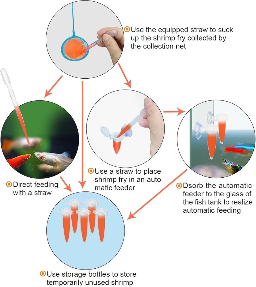 Elegant Brine Shrimp Hatchery with Visible Hatching Process & Multipurpose Tools