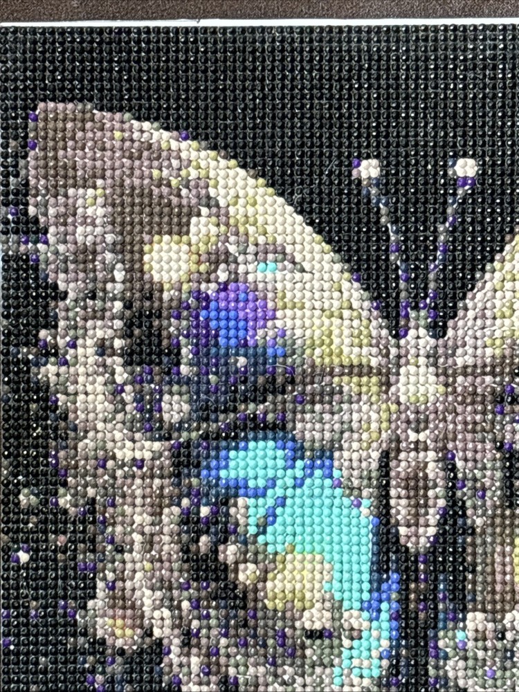Completed Colorful Butterfly Diamond Art ￼