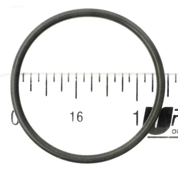 O-Ring, Feed Pipe Assembly