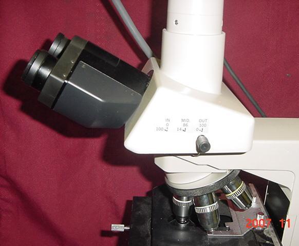Nikon Labophot 2 Trinocular Microscope