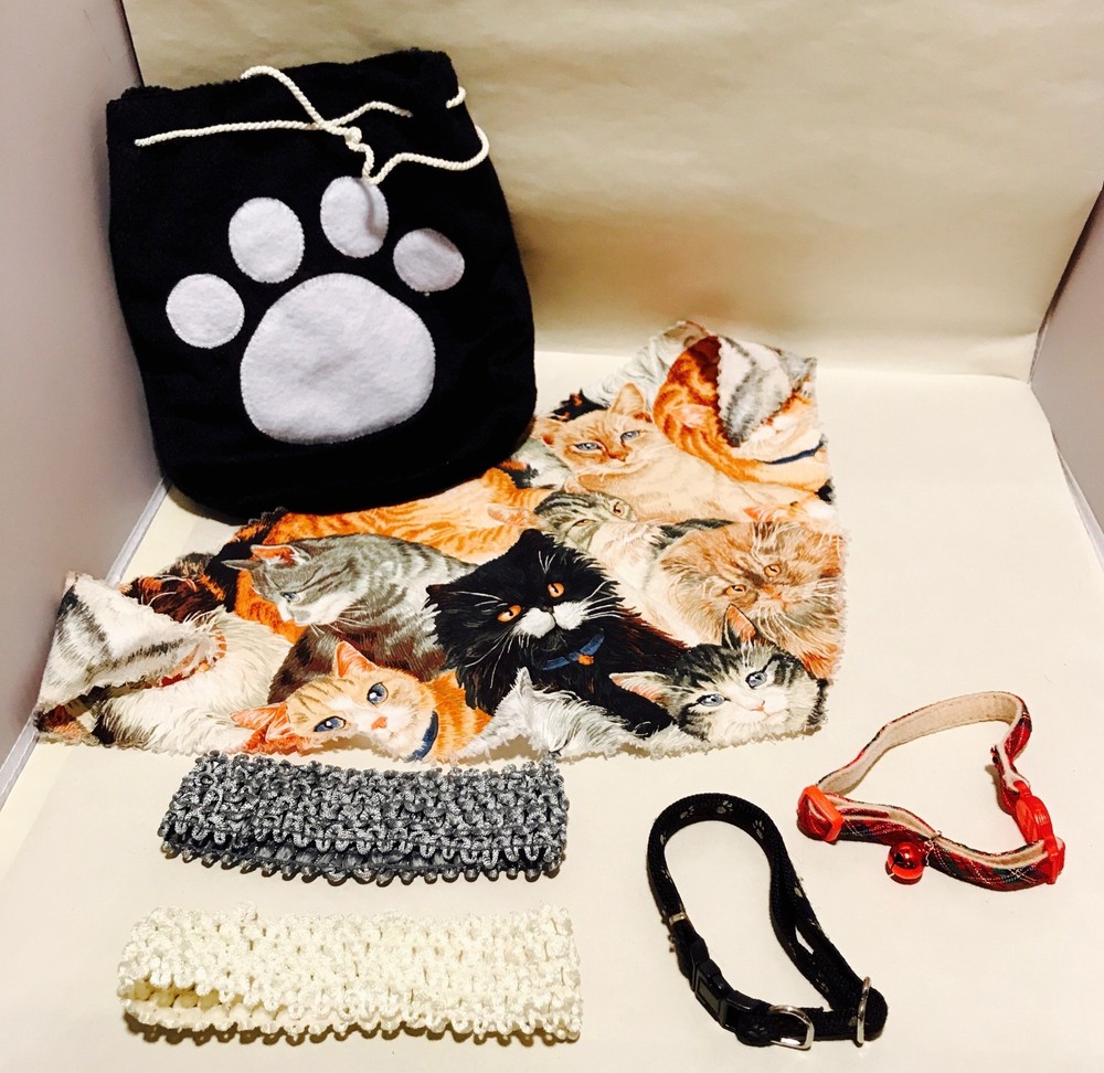 10 Piece Pet Cat Accessories & Bag