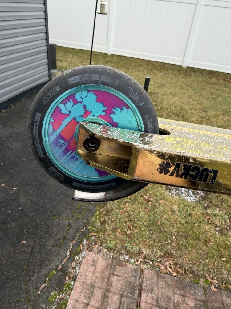 custom Lucky pro scooter