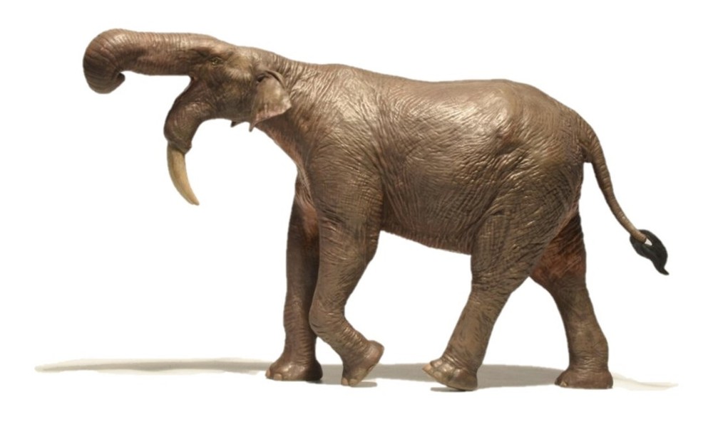 Deinotherium Non Dinosaur Prehistoric Elephant Kin Model Eofauna