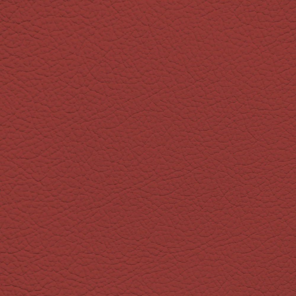 Mercedes Salsa Red Leather Dye