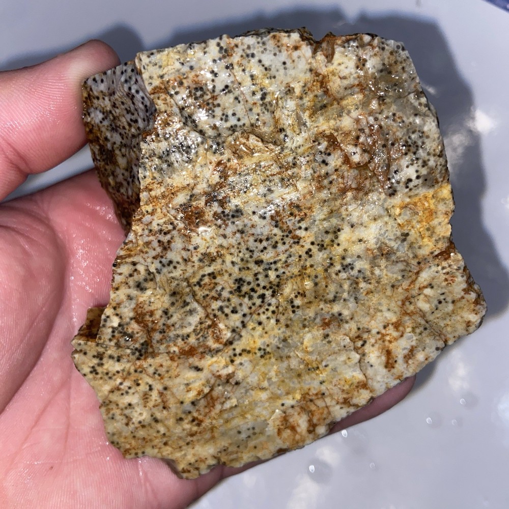 Oolite Agate Rough Lapidary Stone 1 Pound 3 Oz