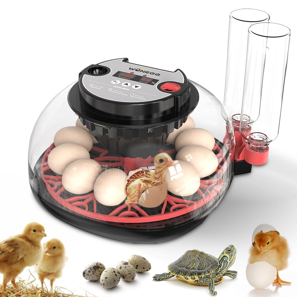 Incubators for Hatching Eggs，12 Egg Incubator,Egg Incubator with Automatic Egg T