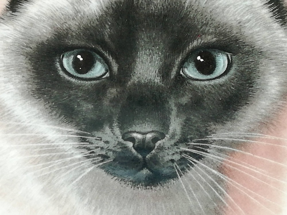 Vintage Sandland Siamese Cat Bone China Small Triangular Dish