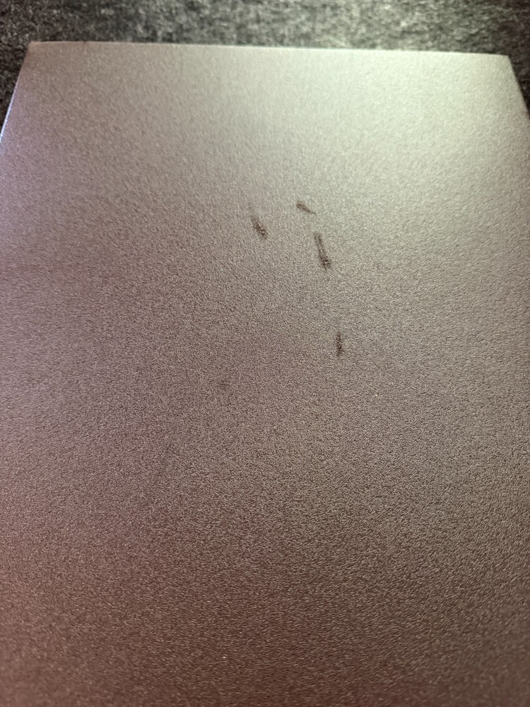 Thinlight Foam Pad - 1/8" by Gossamer Gear