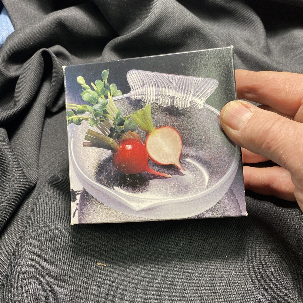 Studio Nova Glass Bowl Candy or nut Dish Nature’s Harvest