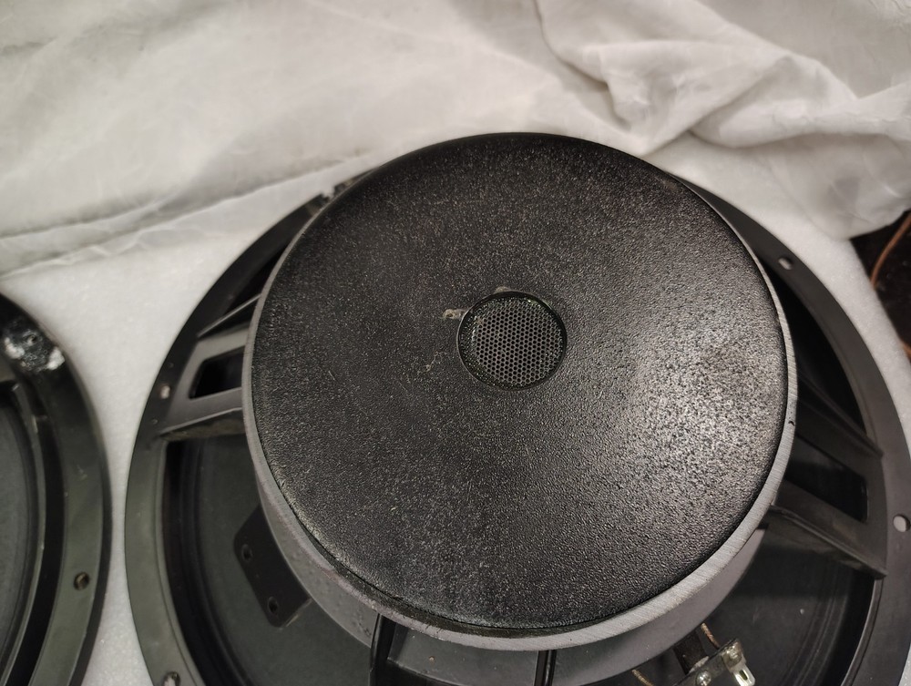 EAP-15D speaker woofers, one pair