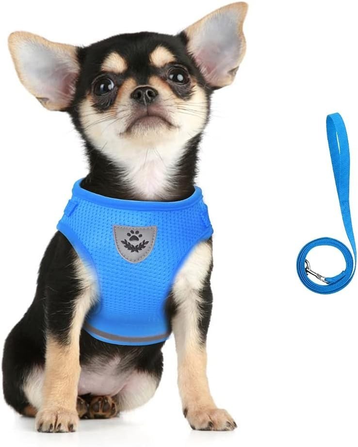 Dog Harness & Leash Set Walking Soft Mesh Adjustable Easy Control Lightweight