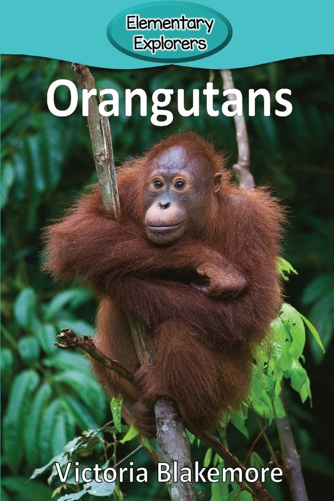 Orangutans (Elementary Explorers)