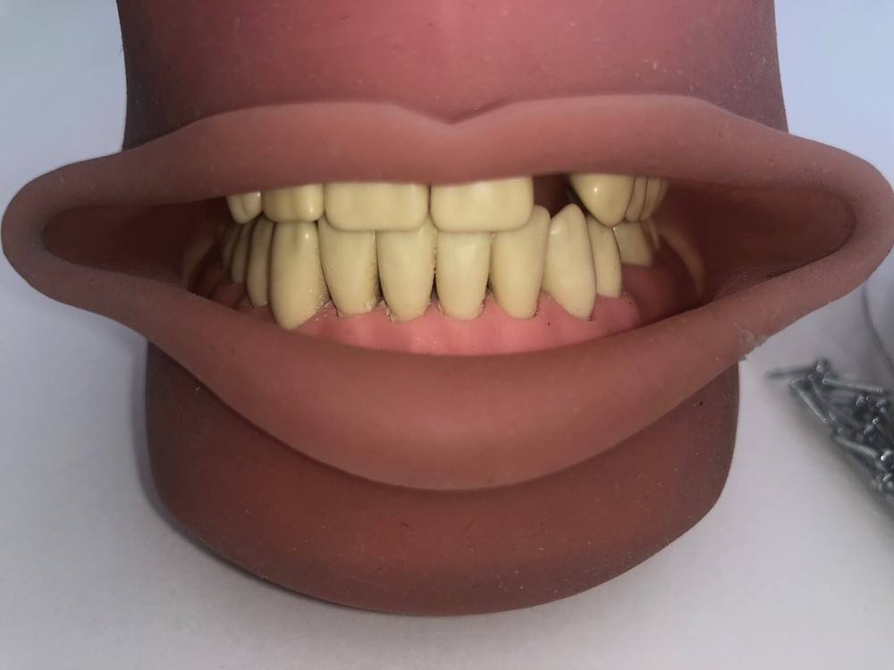 US Dental Typodont for Practice Teeth Model Soft Gum & Simulation Cheek