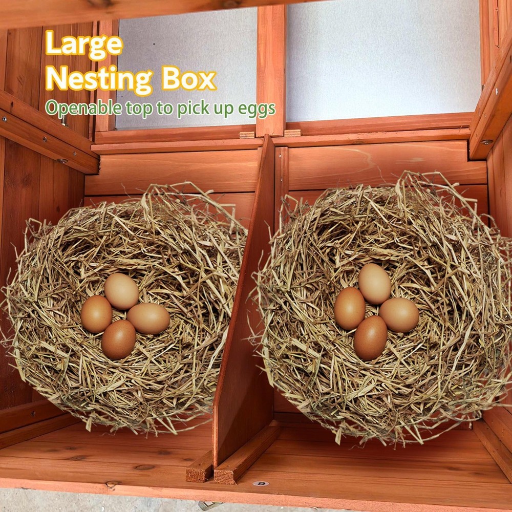 Ventilated Chicken Coop with Nesting Box Tray Easy Access Secure Hutches for
