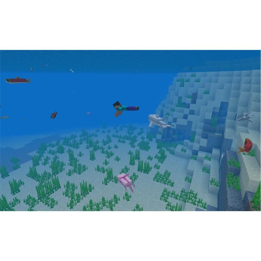 Minecraft: Java & Bedrock Edition for PC [Physical Version] [Region Free]