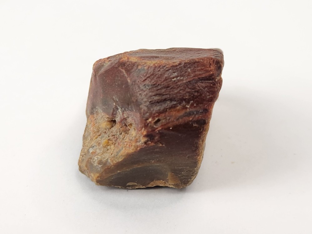 Petrified Wood - Eocene - Jackson Group (?) - Grimes Co., TX