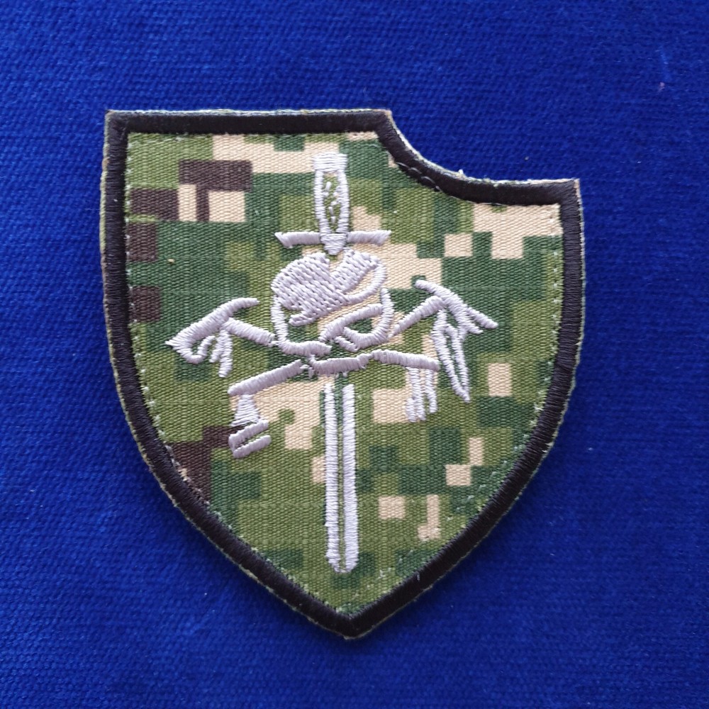 Navy SEALs Team 6 Silver Squadron Patch Naval Special Warfare Development Group