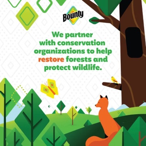 Bounty Full Sheet Paper Towels