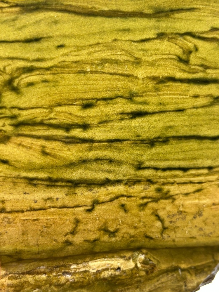 Lizard Skin Jasper slab for Cabbing Lapidary Combo Ship Avail