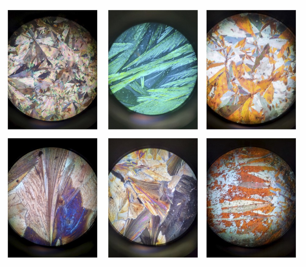 4 Sizes, Universal Microscope Linear Polarizer Filter Kit - 98% Extinction Ratio