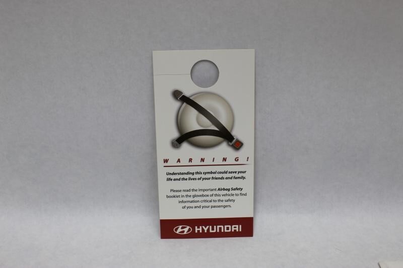 GENESIS 2010 Owners Manual 2448980