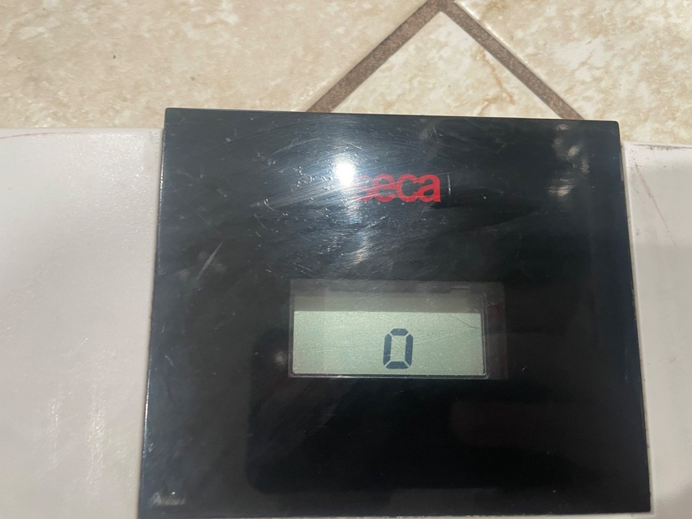 SECA 840 WEIGHT SCALE