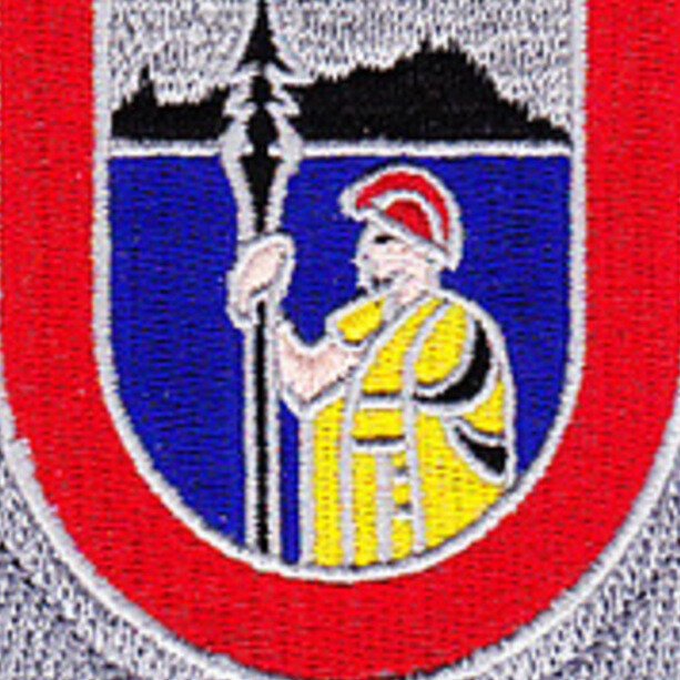 487th Airborne Field Artillery Regiment Patch