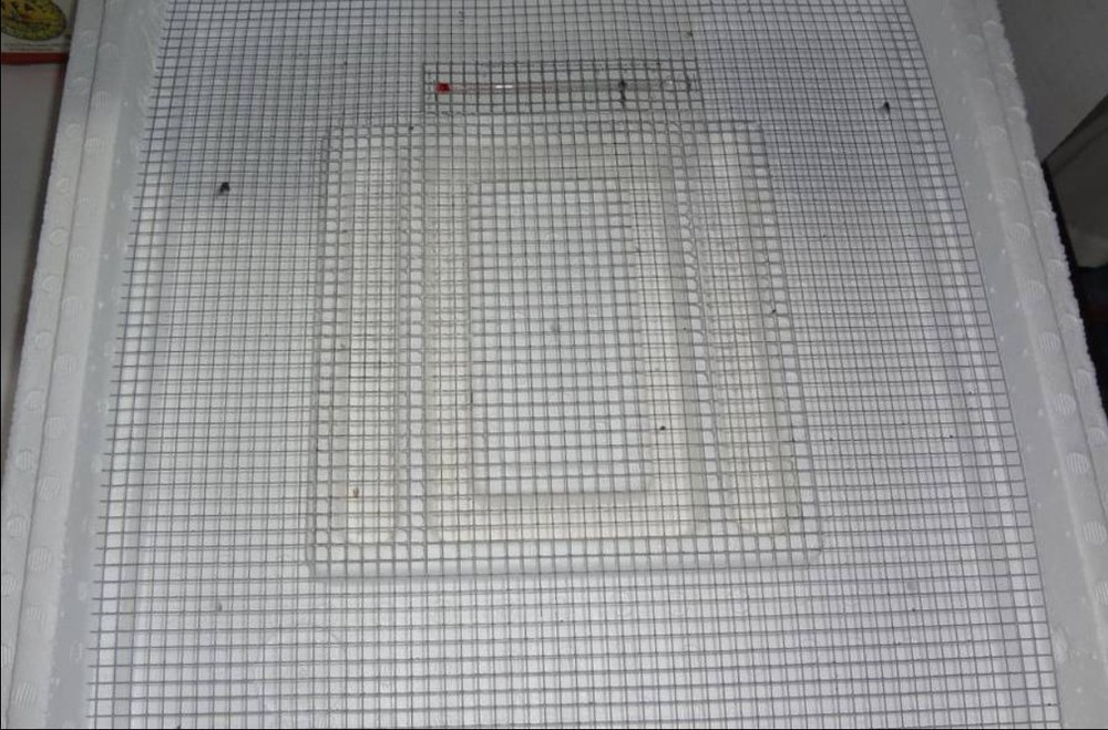 Circulated air incubator