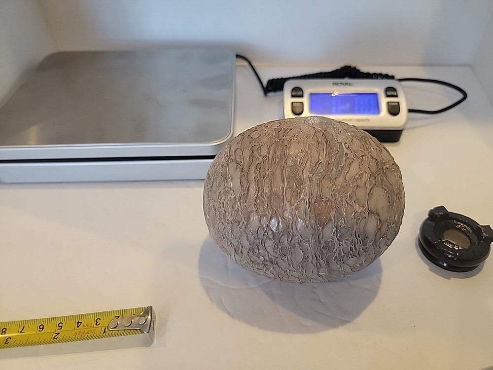 Dinosaur Egg Fossilized Crystallized Fossil VV2