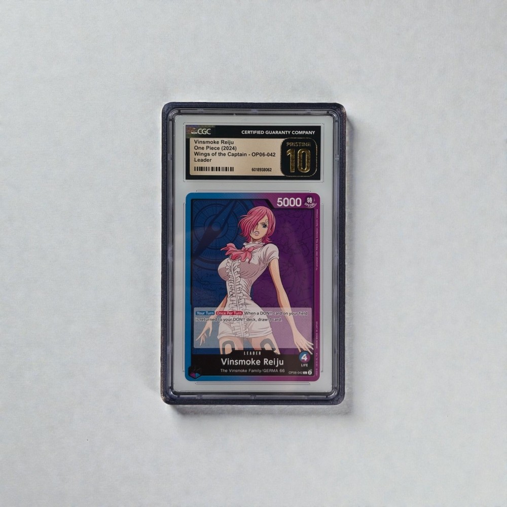 CGC Slab Guard