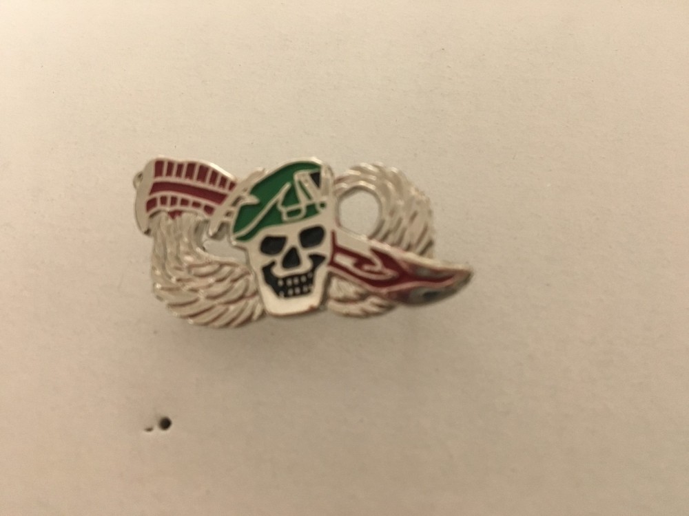 US ARMY GREEN BERET SPECIAL FORCES HAT PIN