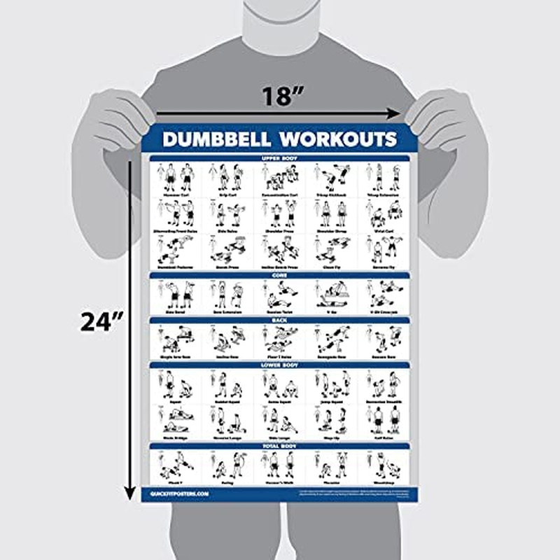 Quickfit 2 Pack Dumbbell Workout Exercise Poster - Volume 1 & 2 - LAMINATED 18"