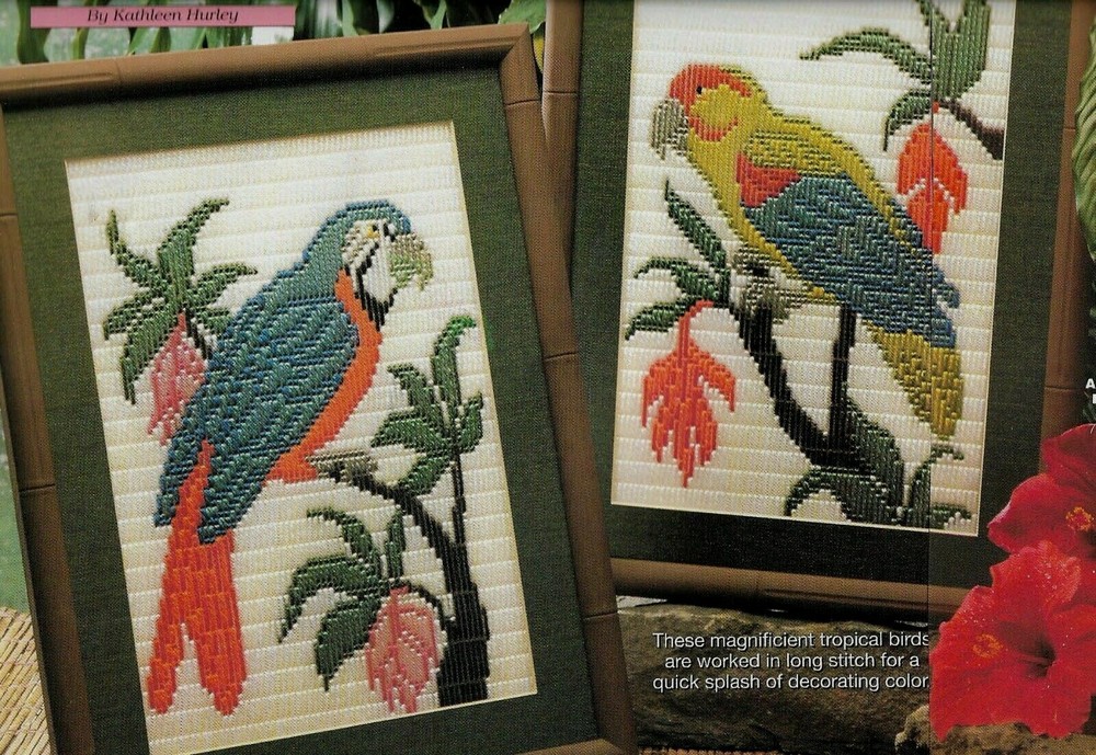 EXOTIC BIRDS 2 LONG STITCH PICTURES PLASTIC CANVAS PATTERN INSTRUCTIONS