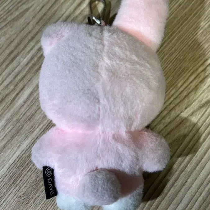 DAY6 Wonpil Keyring with Damaged Tail