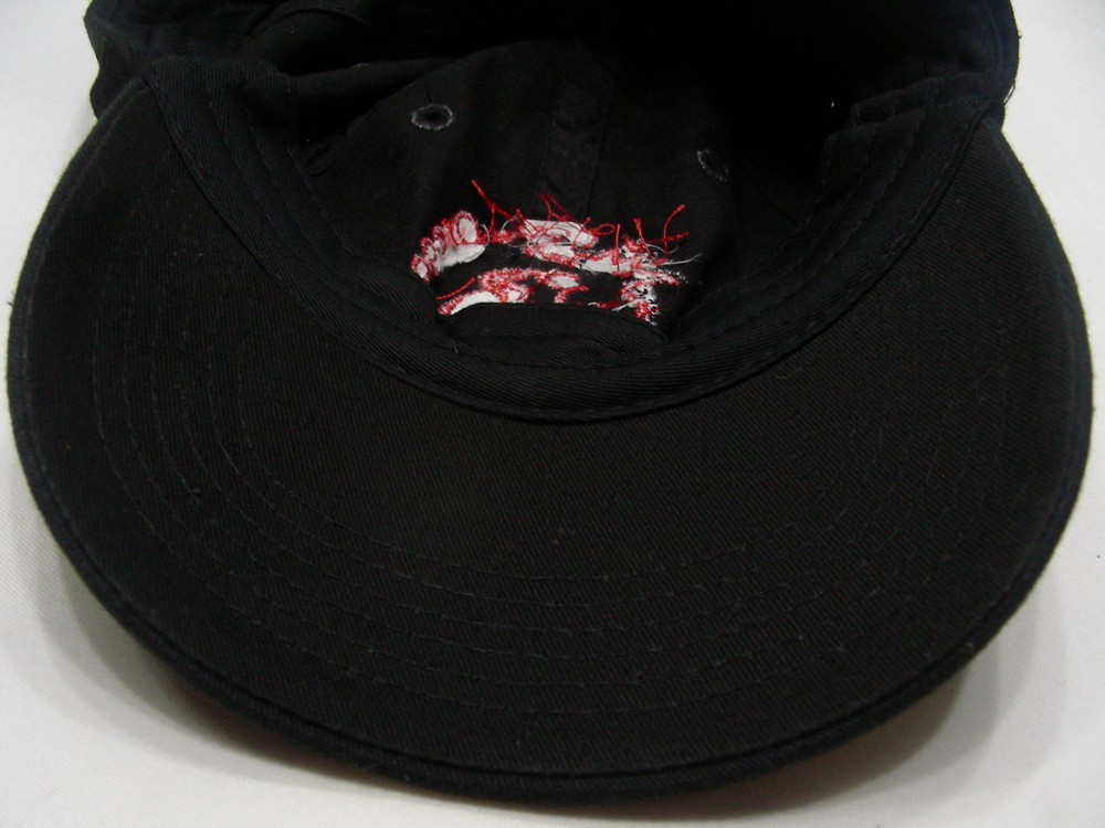 CYCLE OREGON - 2010 - ADJUSTABLE STRAPBACK BALL CAP HAT!